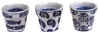 Nsouvenires5.jpg (6494 bytes)